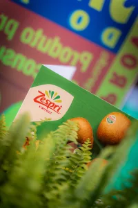 fotógrafo de eventos Madrid